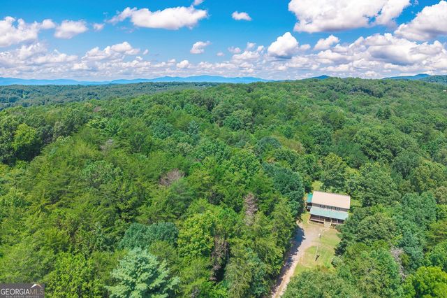 495 Dockery Lane, Mineral Bluff, GA 30559