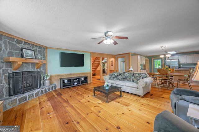 495 Dockery Lane, Mineral Bluff, GA 30559