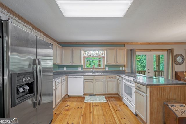 495 Dockery Lane, Mineral Bluff, GA 30559