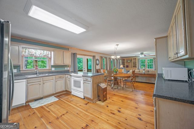495 Dockery Lane, Mineral Bluff, GA 30559