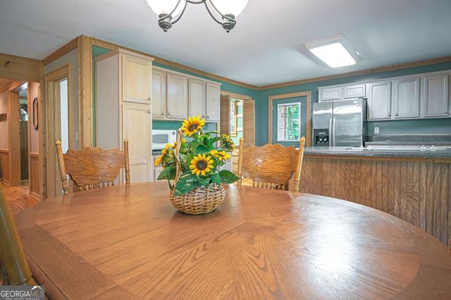 495 Dockery Lane, Mineral Bluff, GA 30559