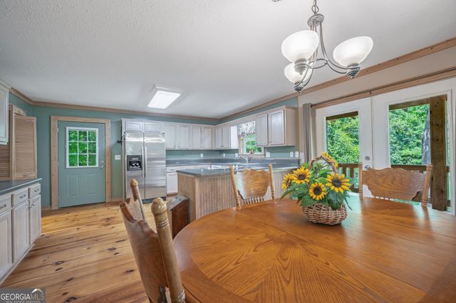 495 Dockery Lane, Mineral Bluff, GA 30559