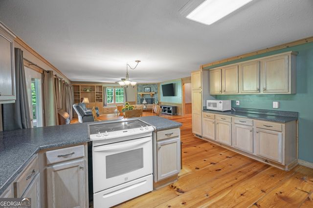 495 Dockery Lane, Mineral Bluff, GA 30559