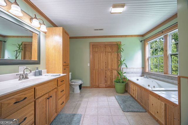 495 Dockery Lane, Mineral Bluff, GA 30559