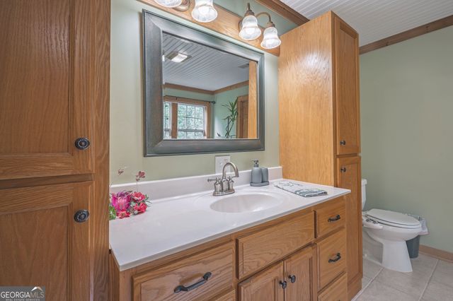 495 Dockery Lane, Mineral Bluff, GA 30559