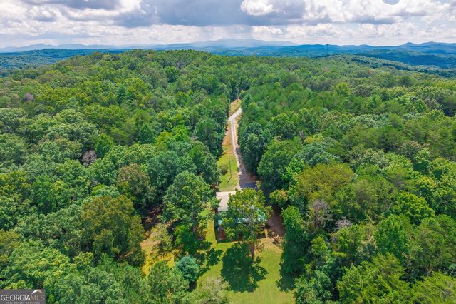 495 Dockery Lane, Mineral Bluff, GA 30559