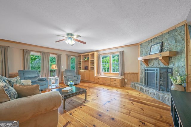 495 Dockery Lane, Mineral Bluff, GA 30559