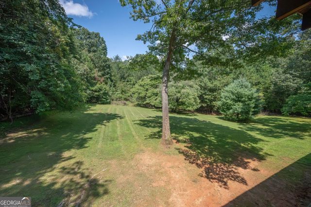 495 Dockery Lane, Mineral Bluff, GA 30559