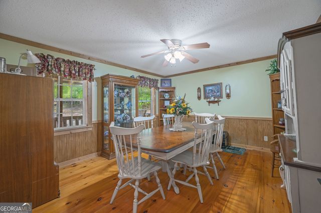 495 Dockery Lane, Mineral Bluff, GA 30559