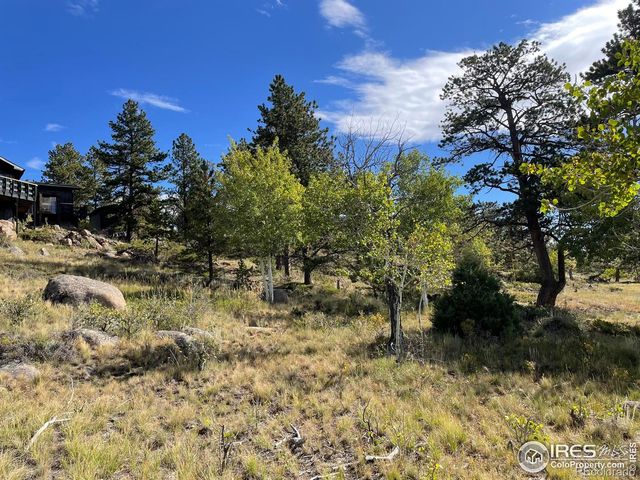 123 Tahlequah Way, Red Feather Lakes, CO 80545