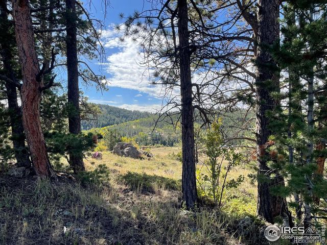 123 Tahlequah Way, Red Feather Lakes, CO 80545