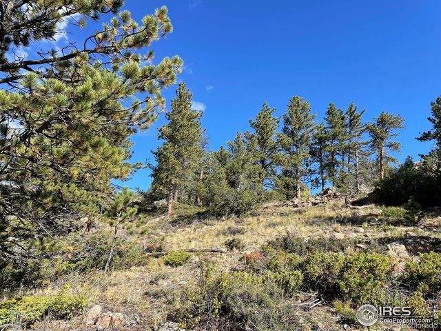 123 Tahlequah Way, Red Feather Lakes, CO 80545