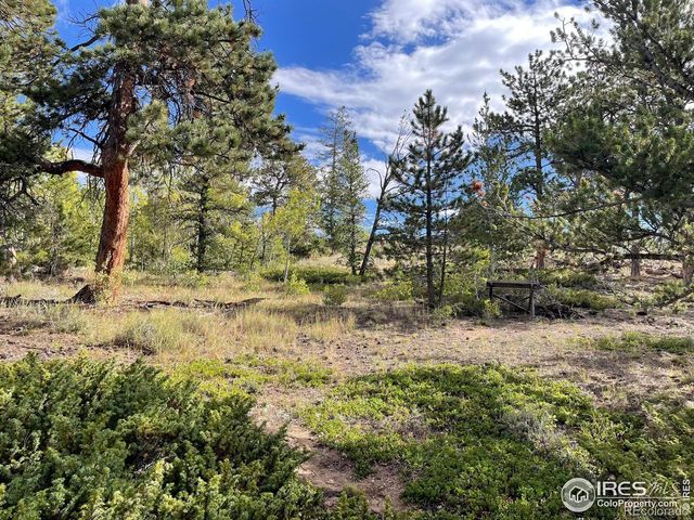 123 Tahlequah Way, Red Feather Lakes, CO 80545