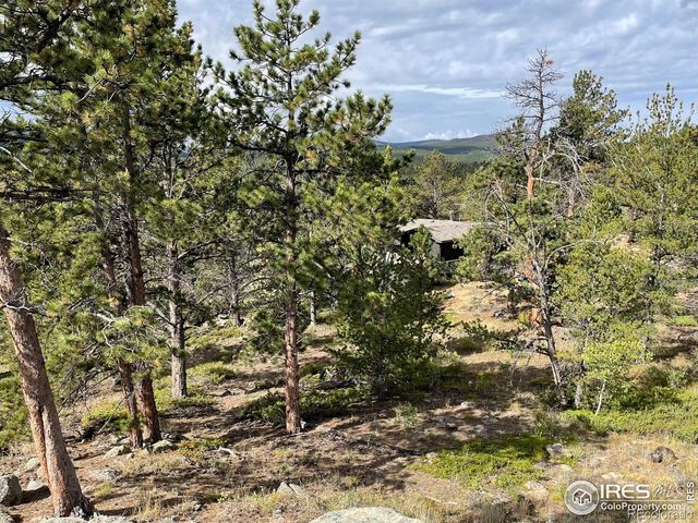 123 Tahlequah Way, Red Feather Lakes, CO 80545
