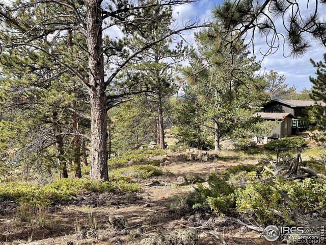 123 Tahlequah Way, Red Feather Lakes, CO 80545