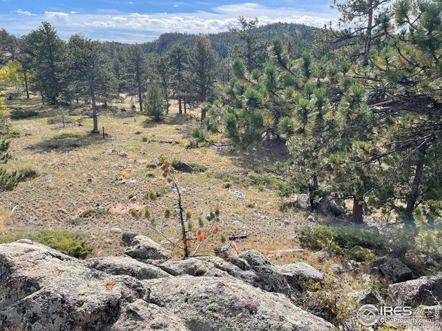 123 Tahlequah Way, Red Feather Lakes, CO 80545