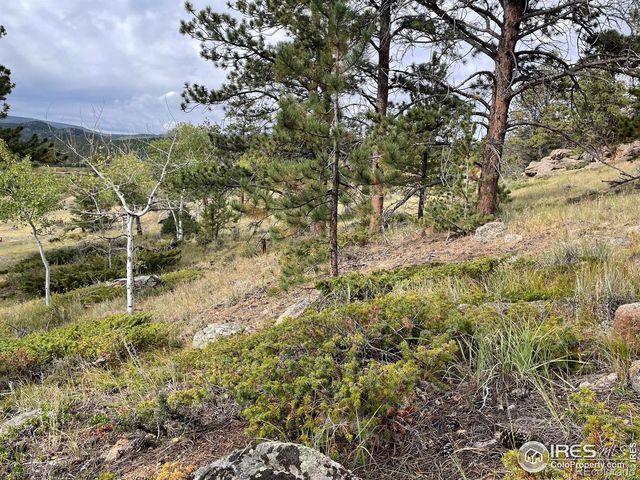 123 Tahlequah Way, Red Feather Lakes, CO 80545
