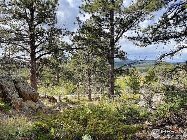 123 Tahlequah Way, Red Feather Lakes, CO 80545