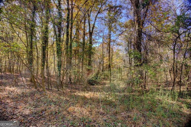 405 W Richardson Street, Oxford, GA 30054