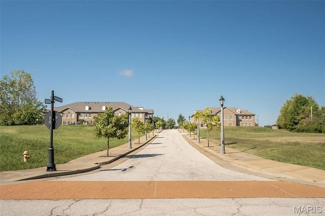 17002 New College Avenue, Wildwood, MO 63040