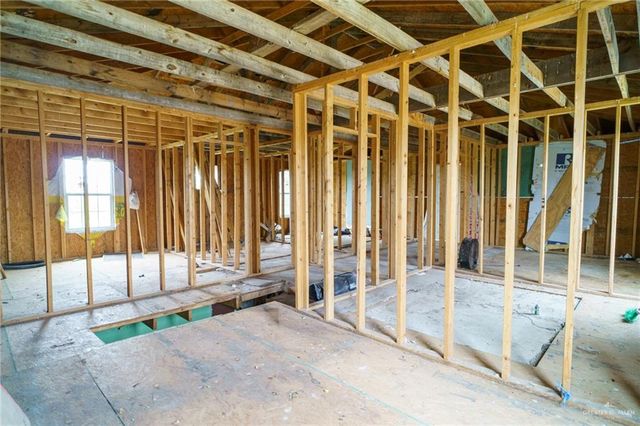 440 Pantera Drive, Alamo, TX 78516