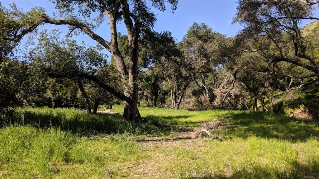 30221 Old Stage Road, Trabuco Canyon, CA 92676 — exterior