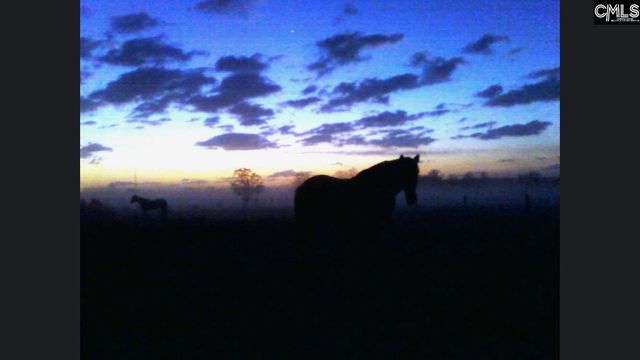 4493 McCormick Highway, Saluda, SC 29138