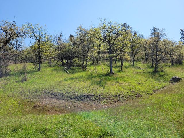 3635 High Prairie Drive, Medford, OR 97504