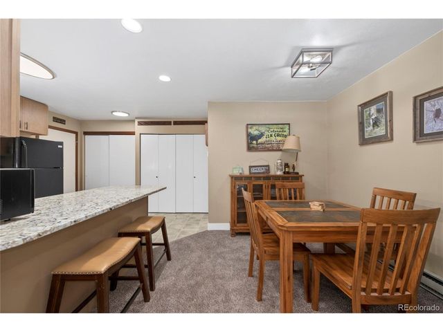 306 Elk Ln 3A, Grand Lake, CO 80447