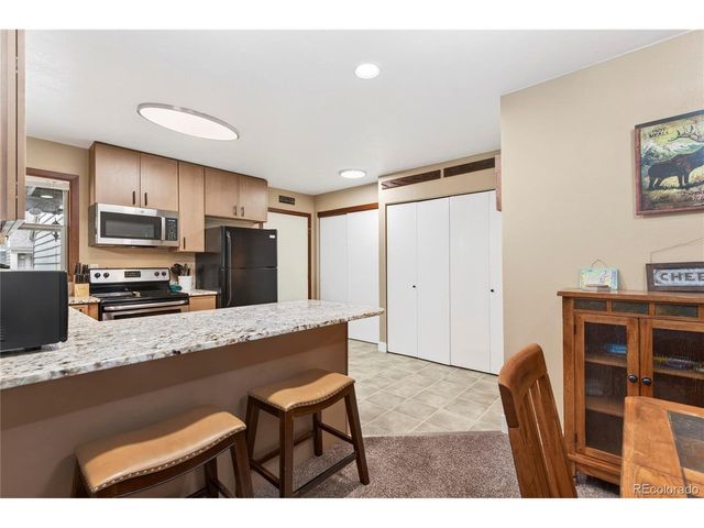 306 Elk Ln 3A, Grand Lake, CO 80447