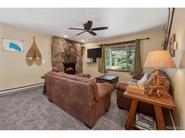 306 Elk Ln 3A, Grand Lake, CO 80447
