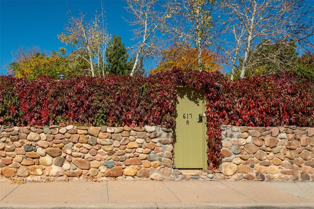 617 Don Felix A, Santa Fe, NM 87501