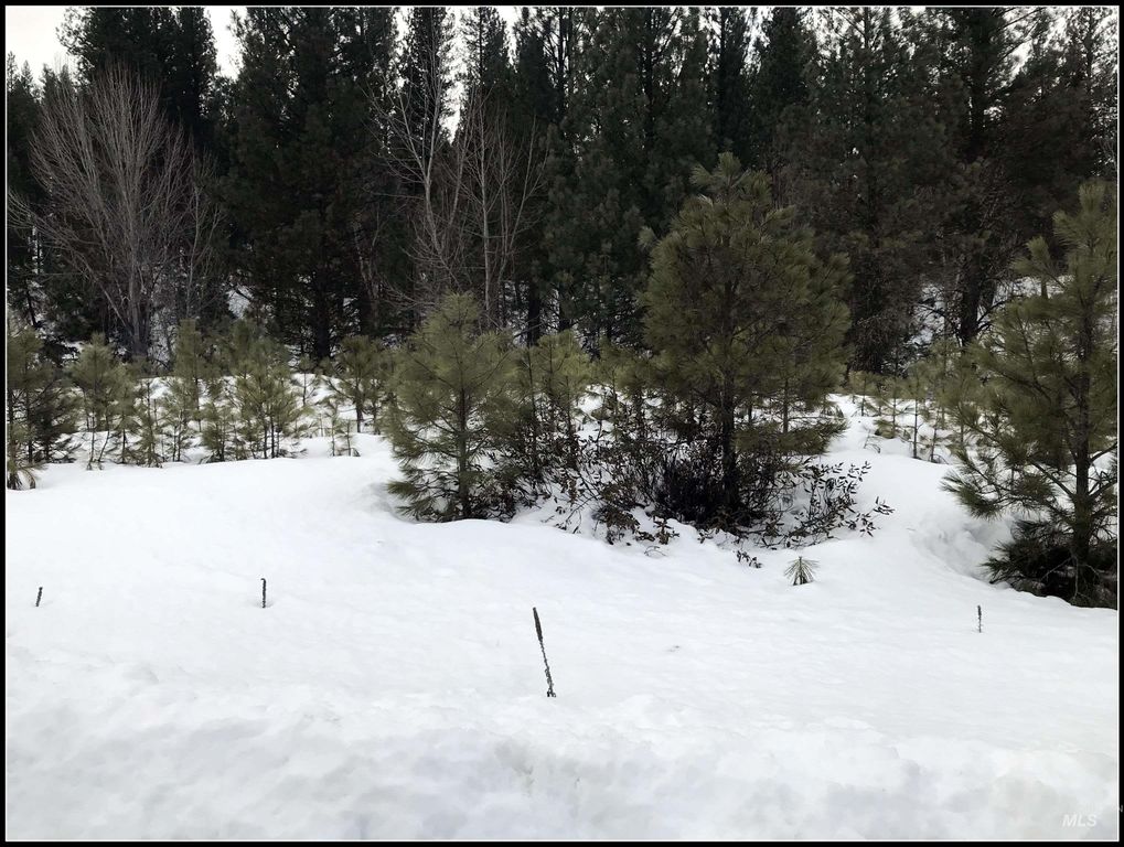 Lot 60 Lily Loop, Idaho City, ID 83631 photo 11