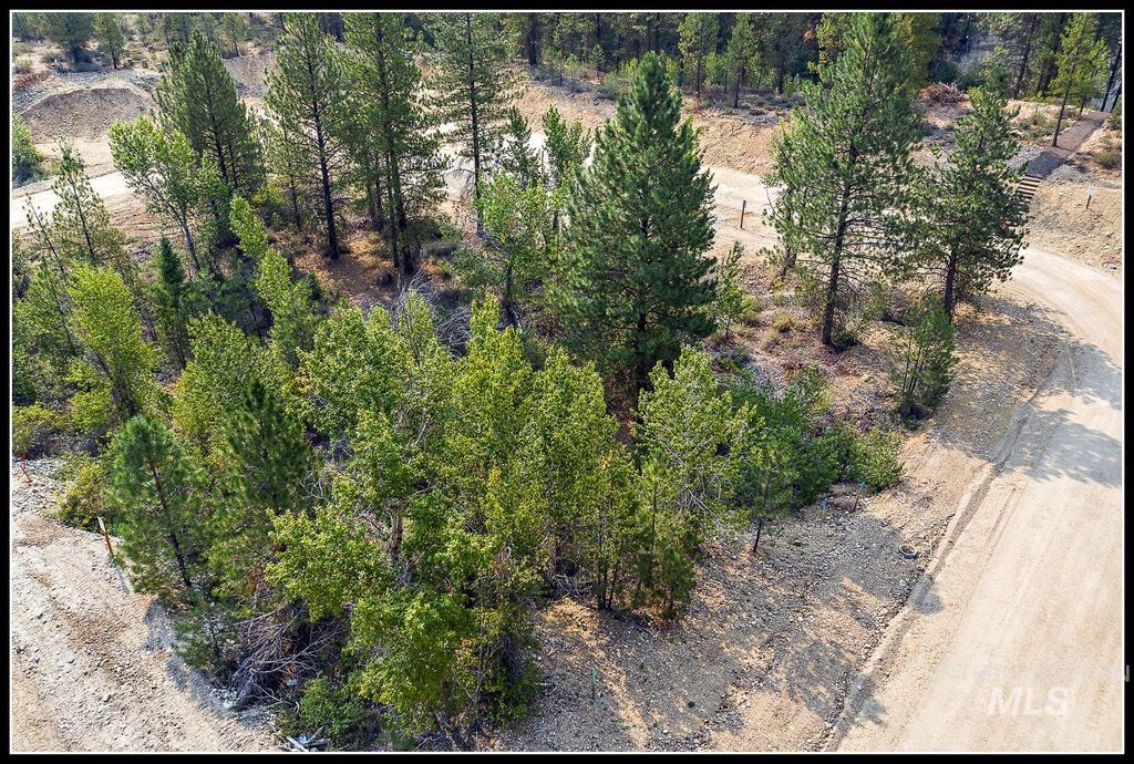 Lot 60 Lily Loop, Idaho City, ID 83631 photo 4