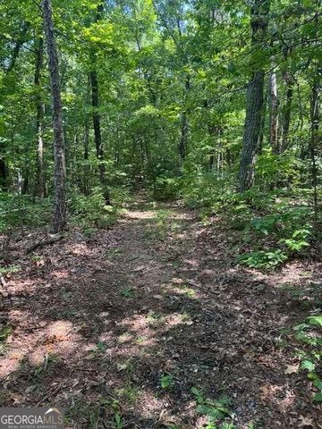 10.96 AC Paramount Trail, Ellijay, GA 30536