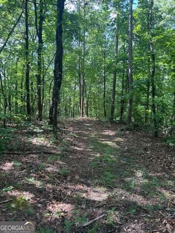 10.96 AC Paramount Trail, Ellijay, GA 30536