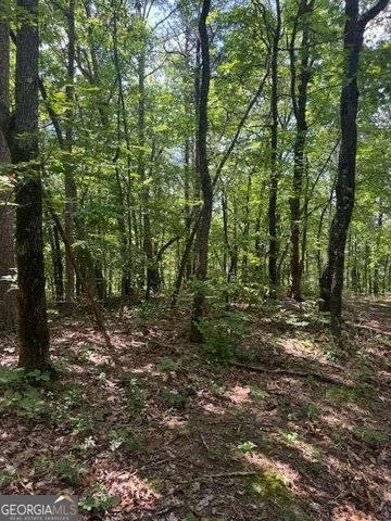 10.96 AC Paramount Trail, Ellijay, GA 30536