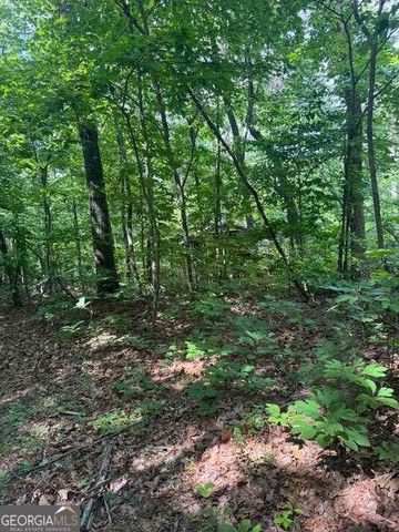 10.96 AC Paramount Trail, Ellijay, GA 30536