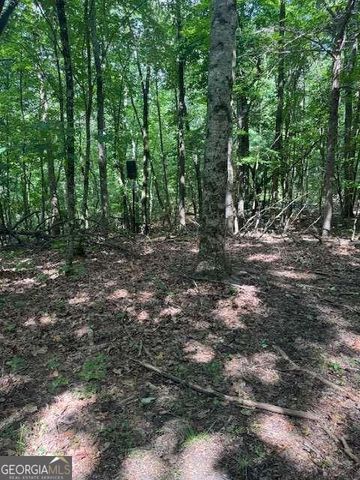 10.96 AC Paramount Trail, Ellijay, GA 30536