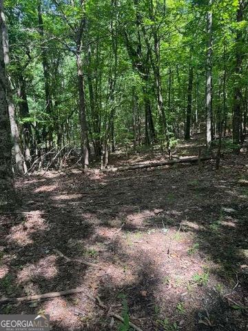 10.96 AC Paramount Trail, Ellijay, GA 30536