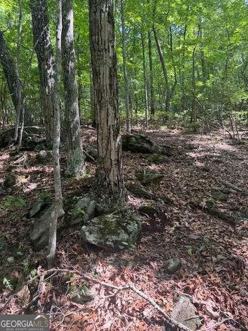 10.96 AC Paramount Trail, Ellijay, GA 30536