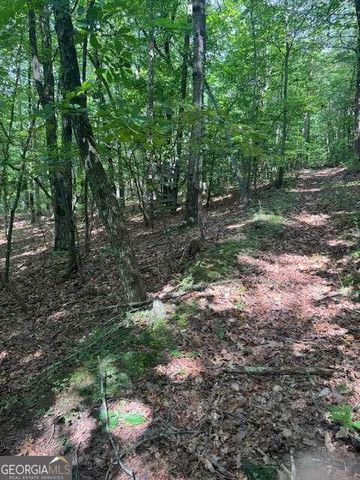 10.96 AC Paramount Trail, Ellijay, GA 30536