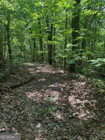 10.96 AC Paramount Trail, Ellijay, GA 30536