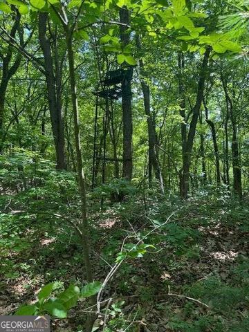 10.96 AC Paramount Trail, Ellijay, GA 30536