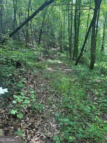 10.96 AC Paramount Trail, Ellijay, GA 30536