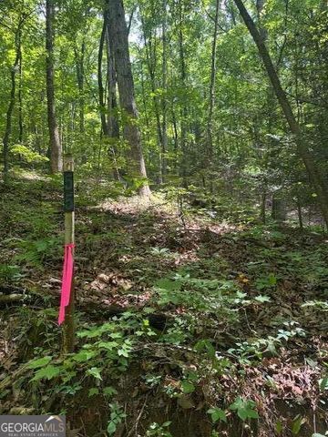 10.96 AC Paramount Trail, Ellijay, GA 30536