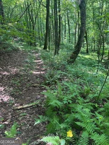 10.96 AC Paramount Trail, Ellijay, GA 30536