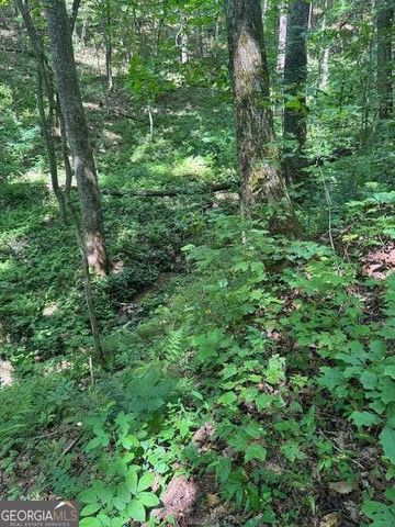 10.96 AC Paramount Trail, Ellijay, GA 30536
