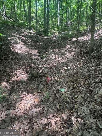 10.96 AC Paramount Trail, Ellijay, GA 30536