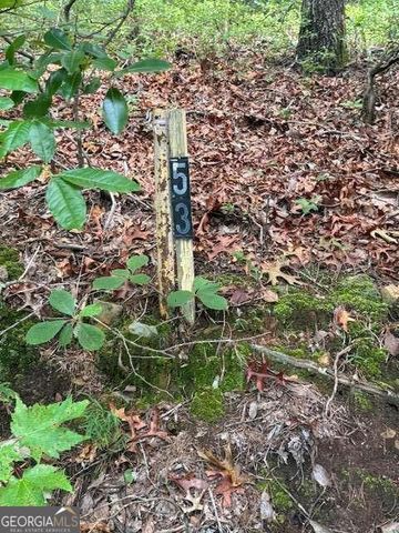 10.96 AC Paramount Trail, Ellijay, GA 30536